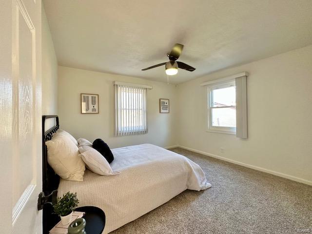 825 Mullanphy Road Florissant, MO 63031 - Photo 5 of 12 Gallery Image 5