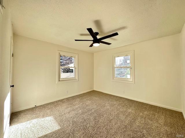 825 Mullanphy Road Florissant, MO 63031 - Photo 7 of 12 Gallery Image 7