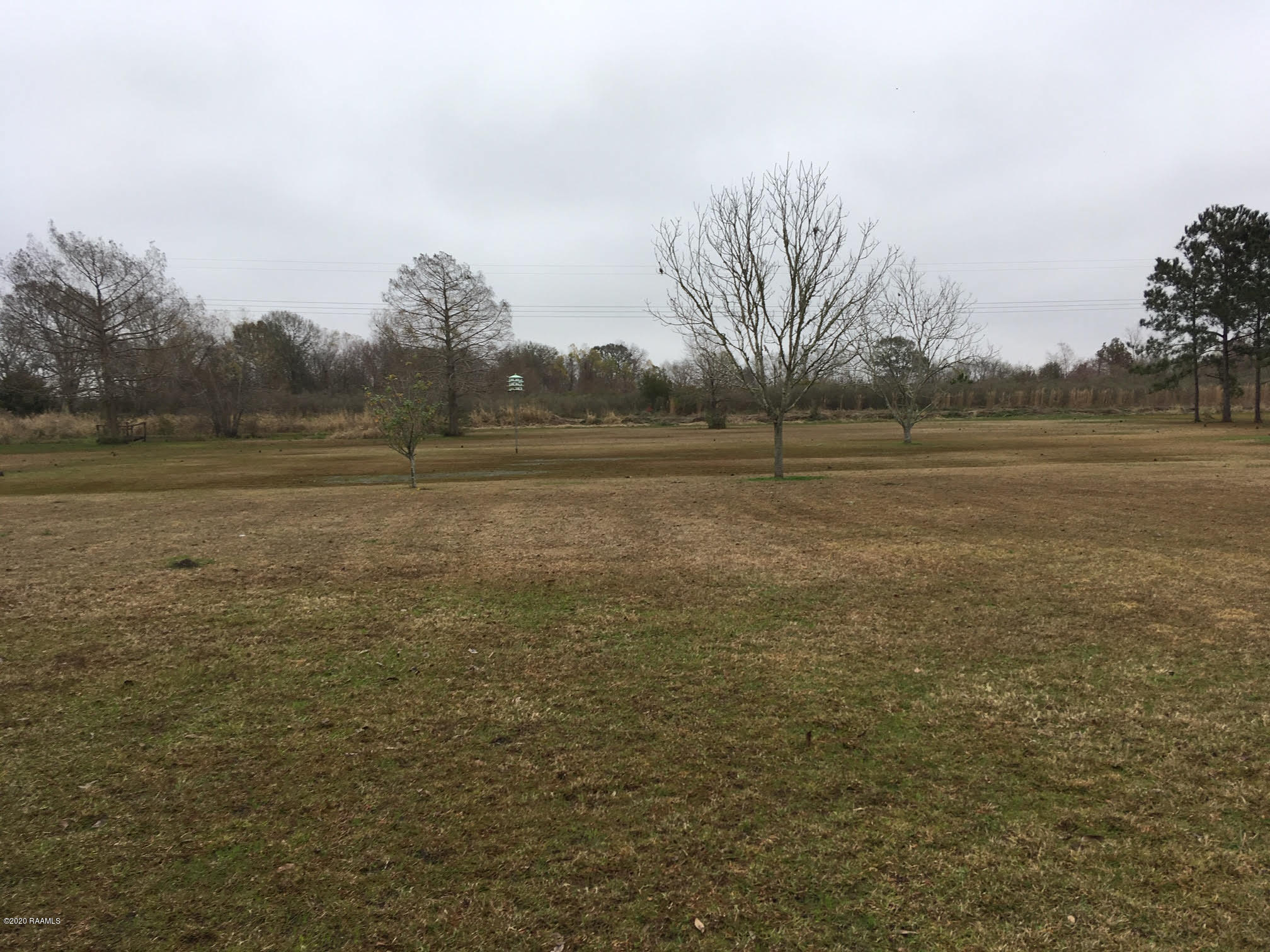 18123 Domonic Road Erath, LA 70533 - Photo 3 of 15 18123 Domonic 2