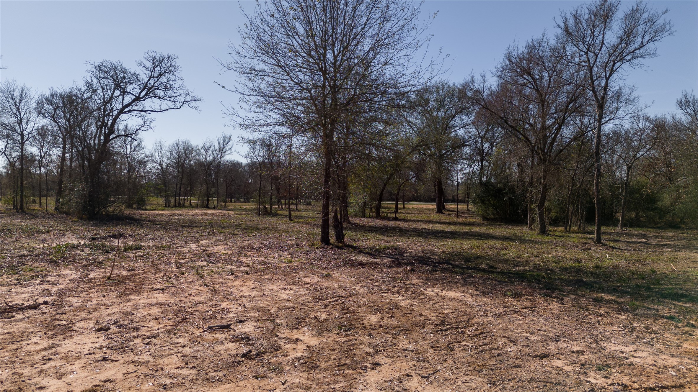 4 Wallace Road Midway, TX 75852 - Photo 7 of 10 a view of outdoor space with trees