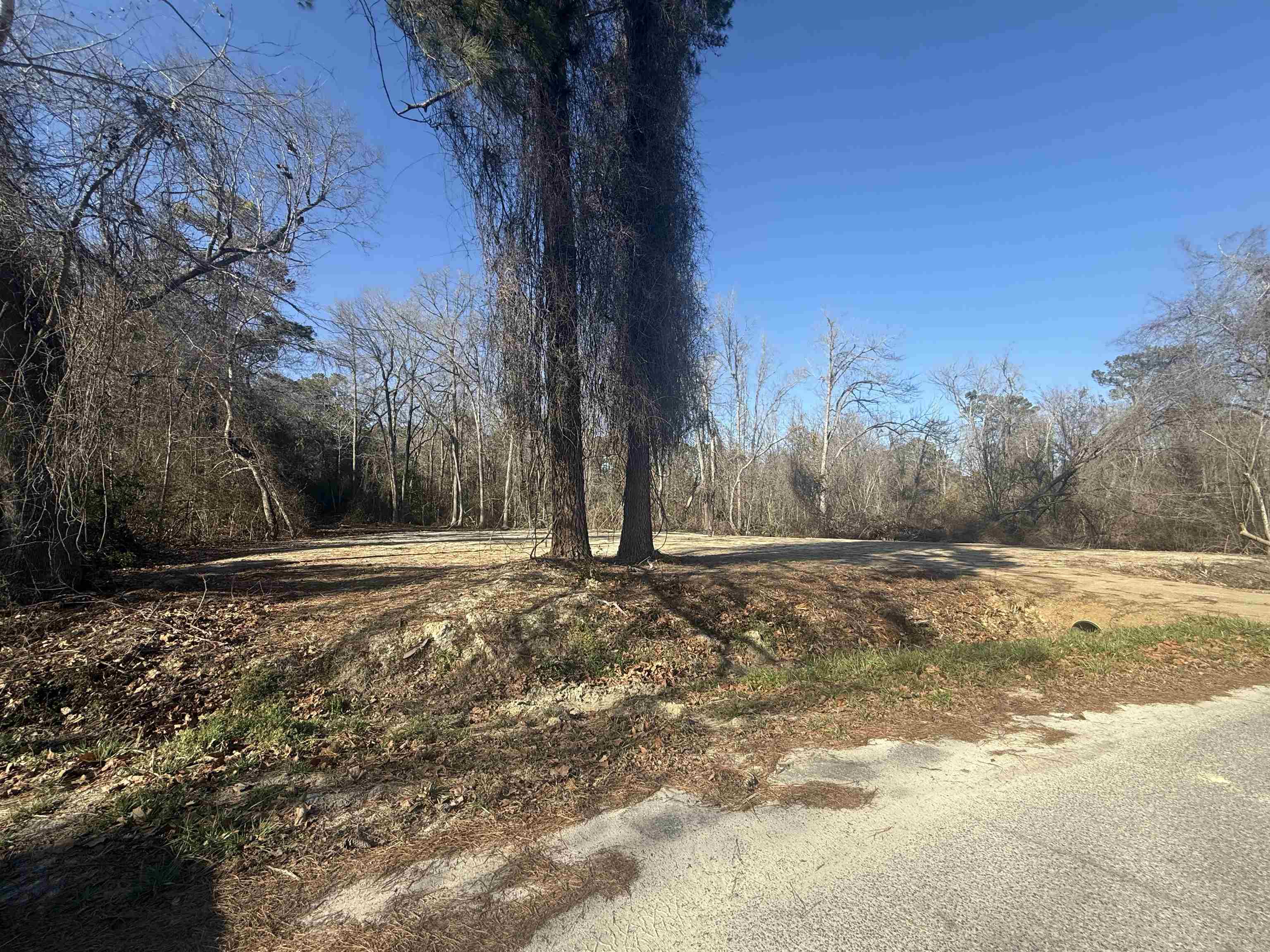 Sunset Drive Conway, SC 29526 - Photo 2 of 4