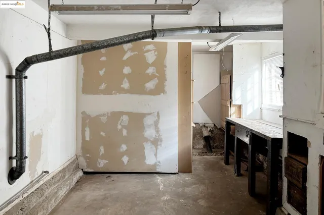 a close up of a plant