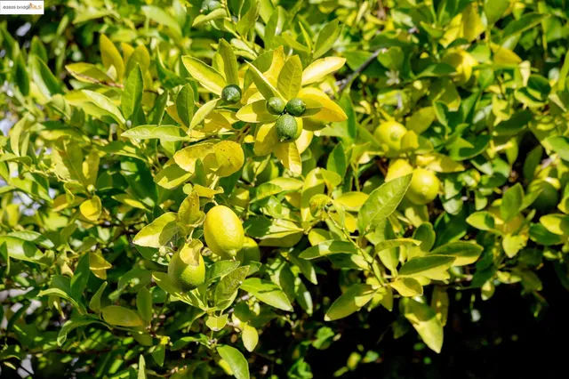 $495,000 | 3710 Wisconsin Street, Oakland, CA 94619