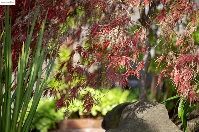 $495,000 | 3710 Wisconsin Street, Oakland, CA 94619