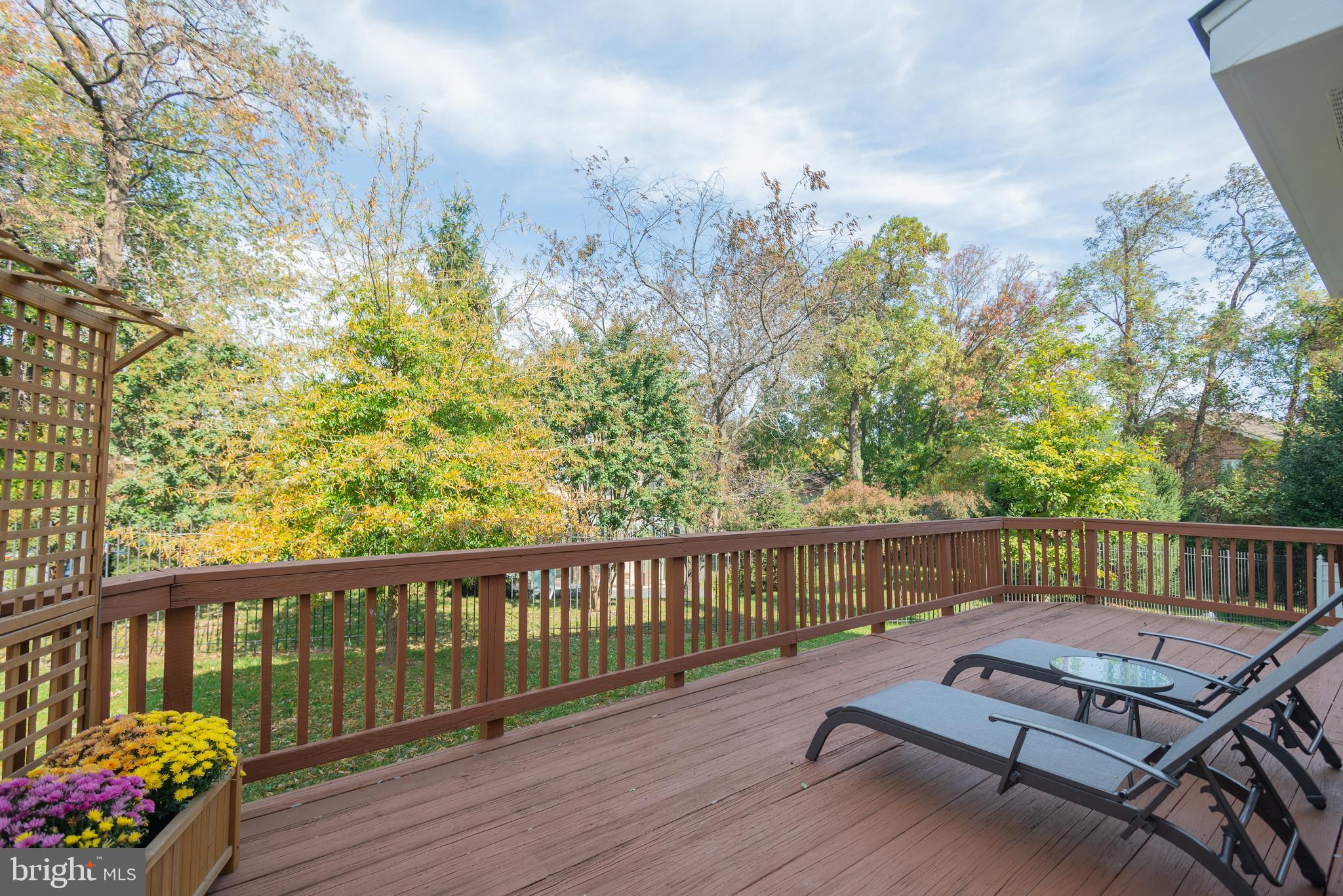 10906 Henlopen Court Silver Spring, MD 20902 - Photo 87 of 95 Gallery Image 87