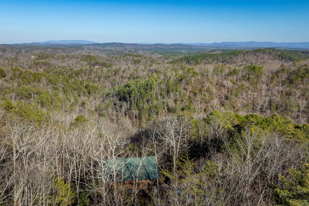 1041 Astro Court Ranger, GA 30734 - Photo 21 of 31 Gallery Image 21