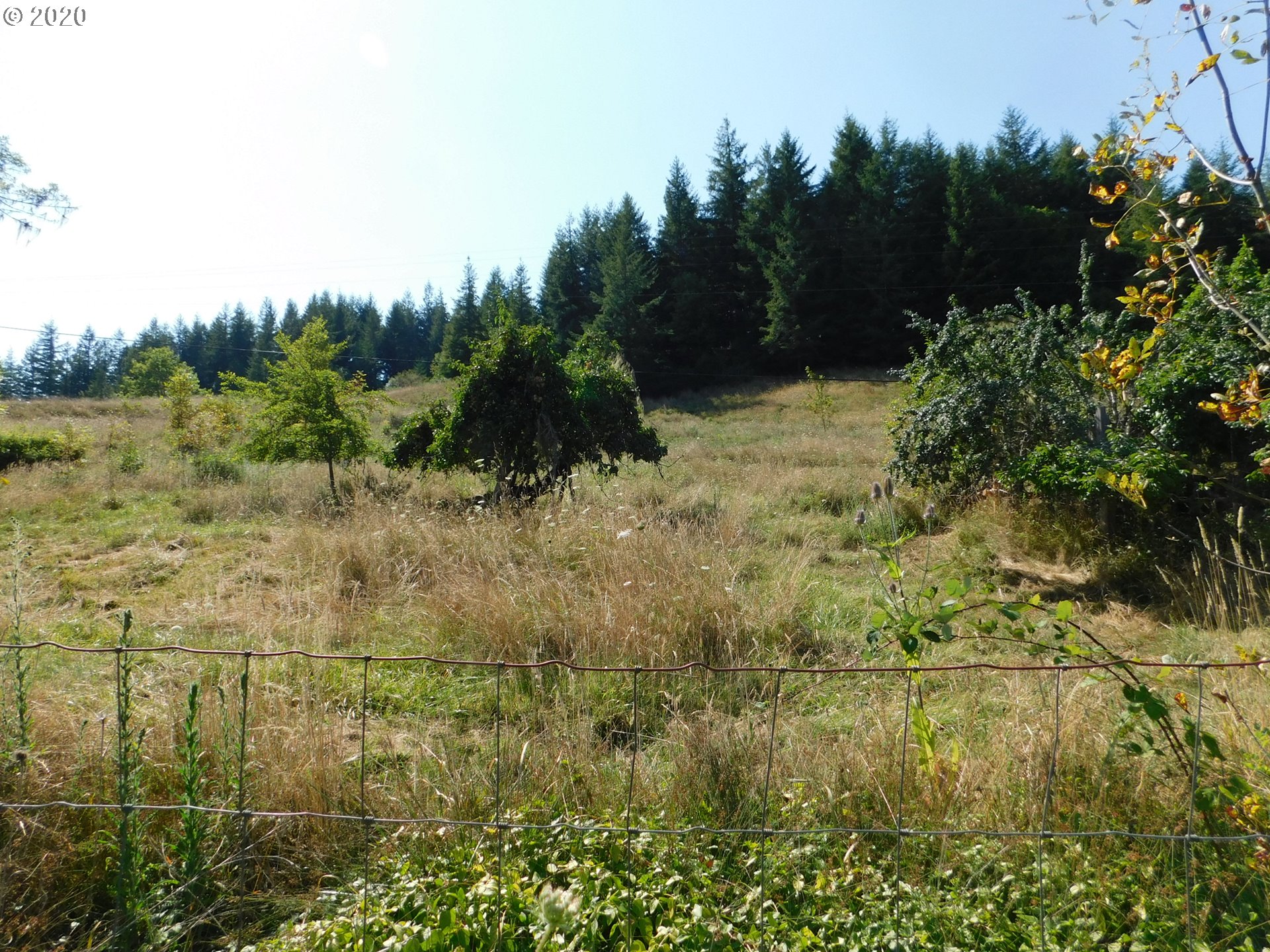 52466 Old Broadbent Road Myrtle Point, OR 97458 - Photo 25 of 31 Gallery Image 25