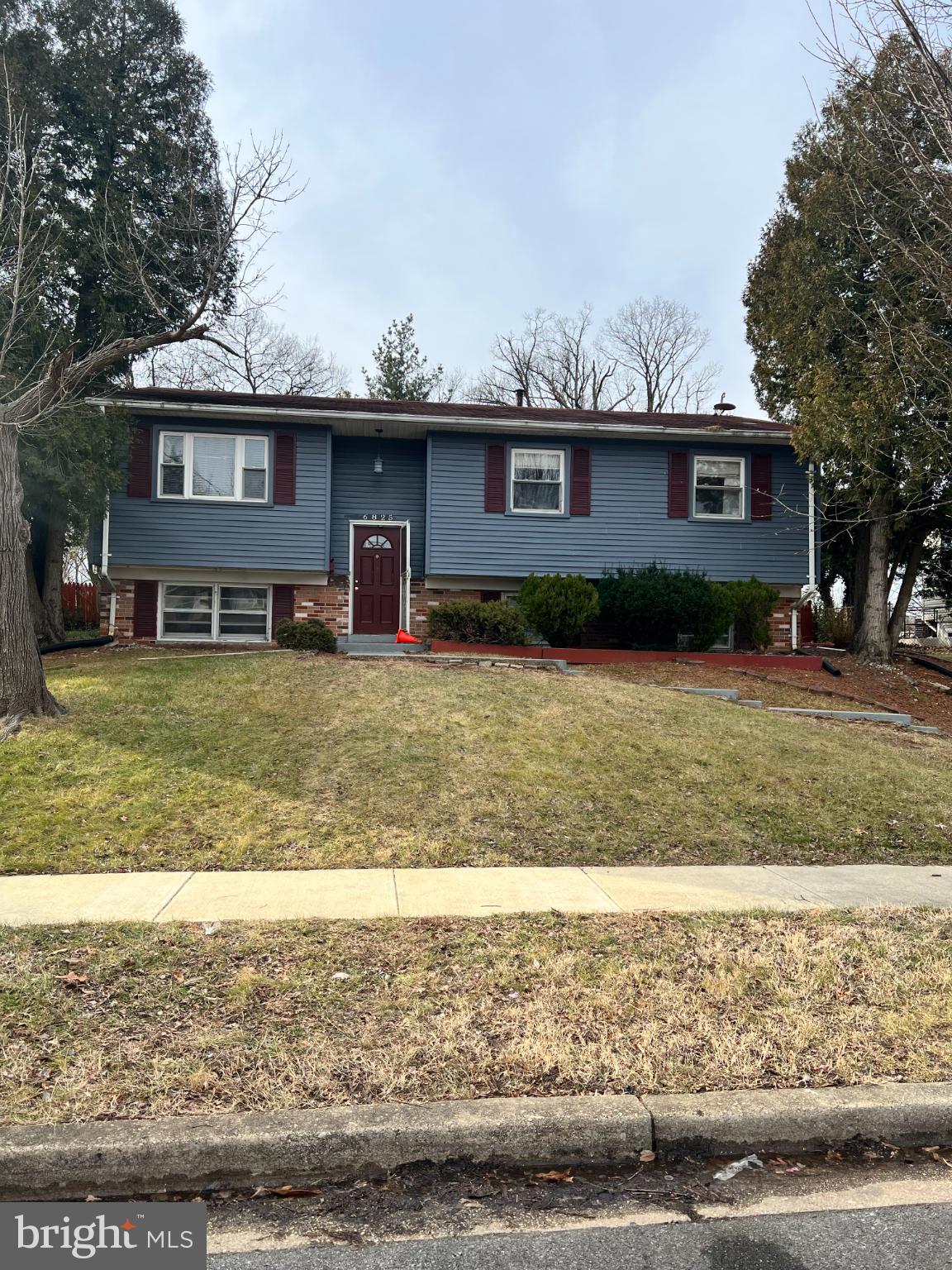 a view of a yard in front of a house
