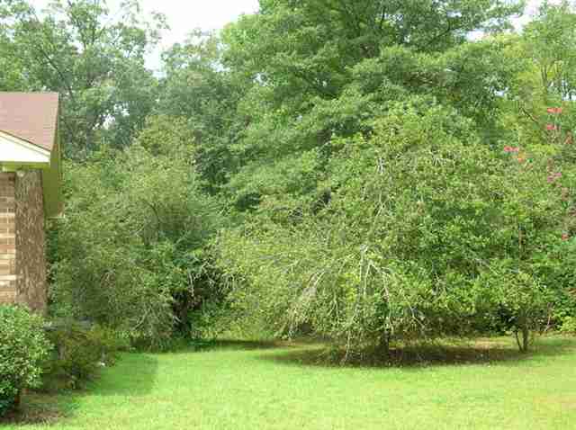 239 Southern Road Belton, SC 29627 - Photo 4 of 25