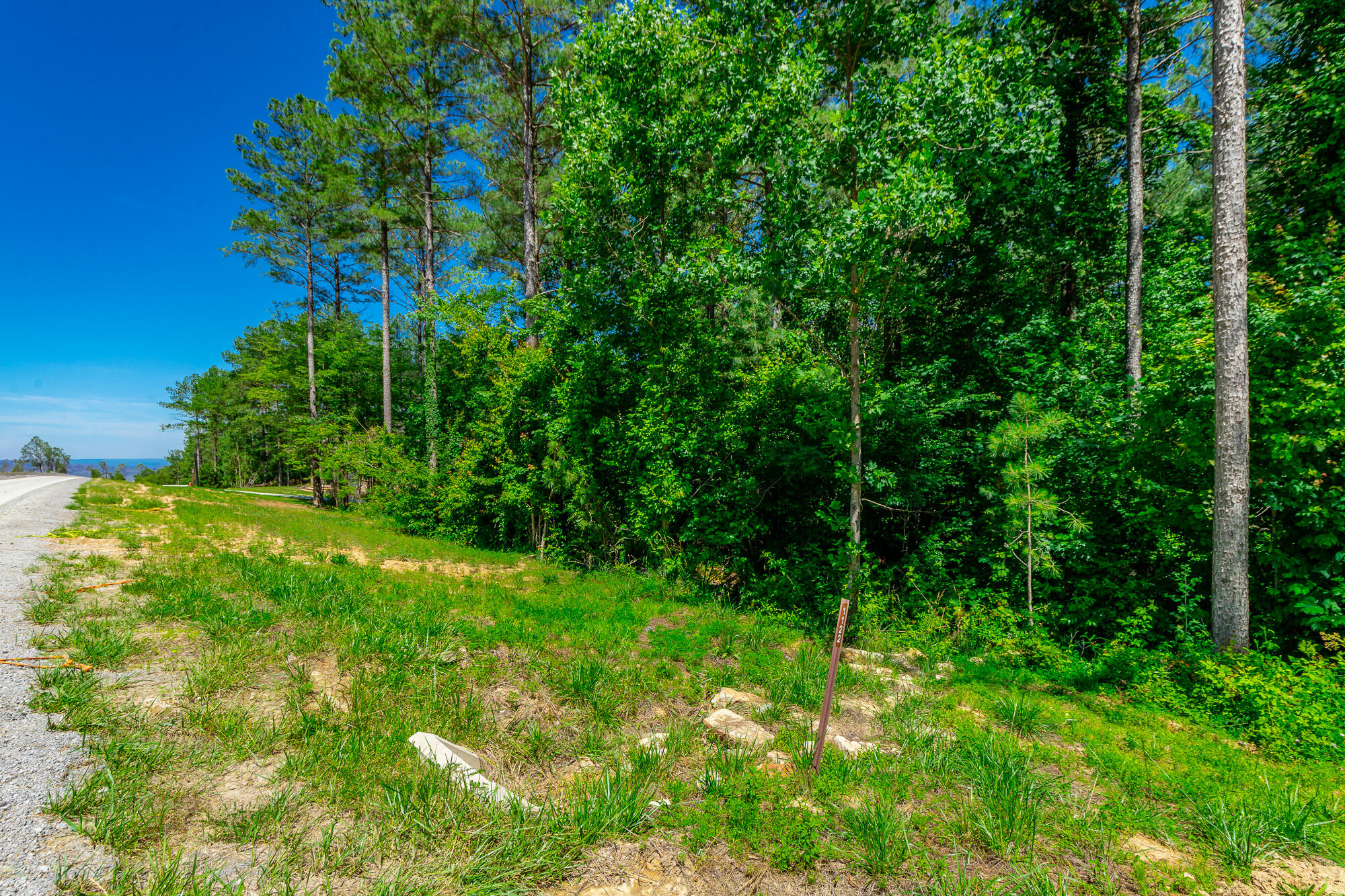 0 Split Rail Way, Unit LOT 1121 Guild, TN 37340 - Photo 4 of 103 River Gorge Lot 1121 HD-4