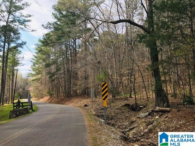 8607 Zuber Road, Unit 22 65 ACRES Springville, AL 35146 - Photo 9 of 9