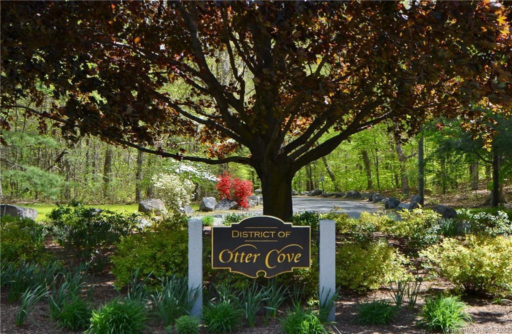 Welcome to Otter Cove, Old Saybrook