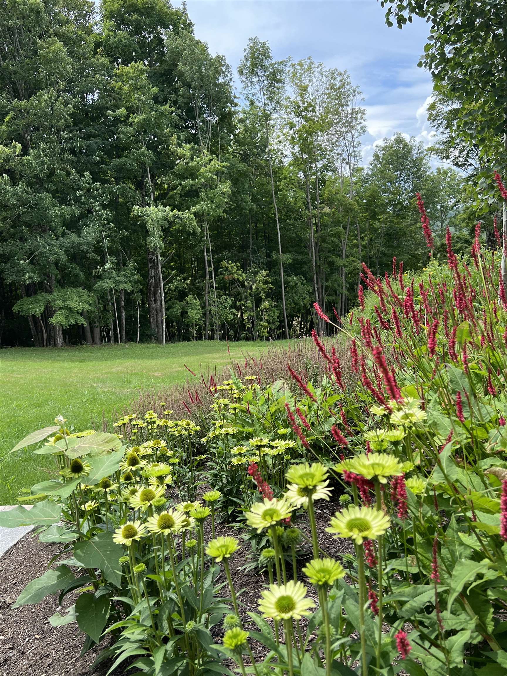 40 Follensbee Road Enfield, NH 03748 - Photo 32 of 39