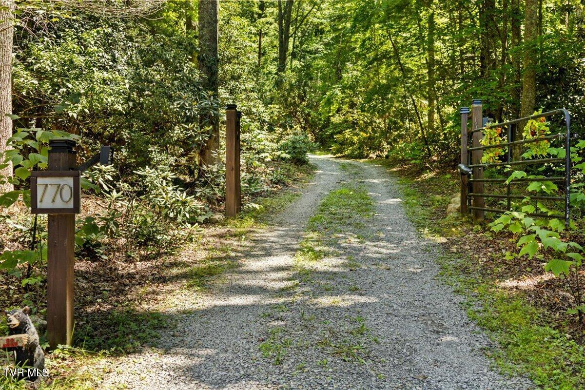 770 Copperhead Road Elizabethton, TN 37643 - Photo 4 of 66 13-128A2829