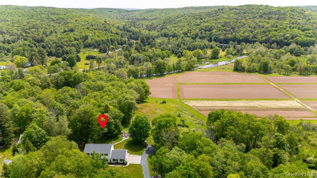 369 Grey Road South Fallsburg, NY 12779 - Photo 45 of 47