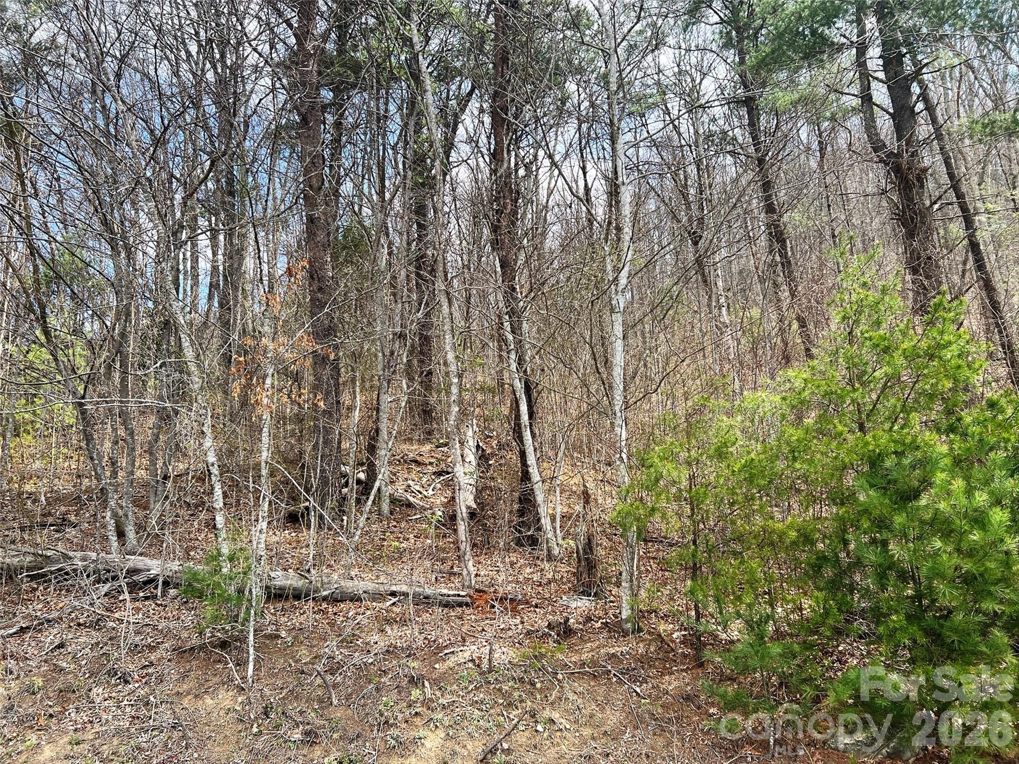 Tbd Moonbeam Lane, Unit 101 102 Clyde, NC 28721 - Photo 16 of 20 a backyard of a house with lots of green space