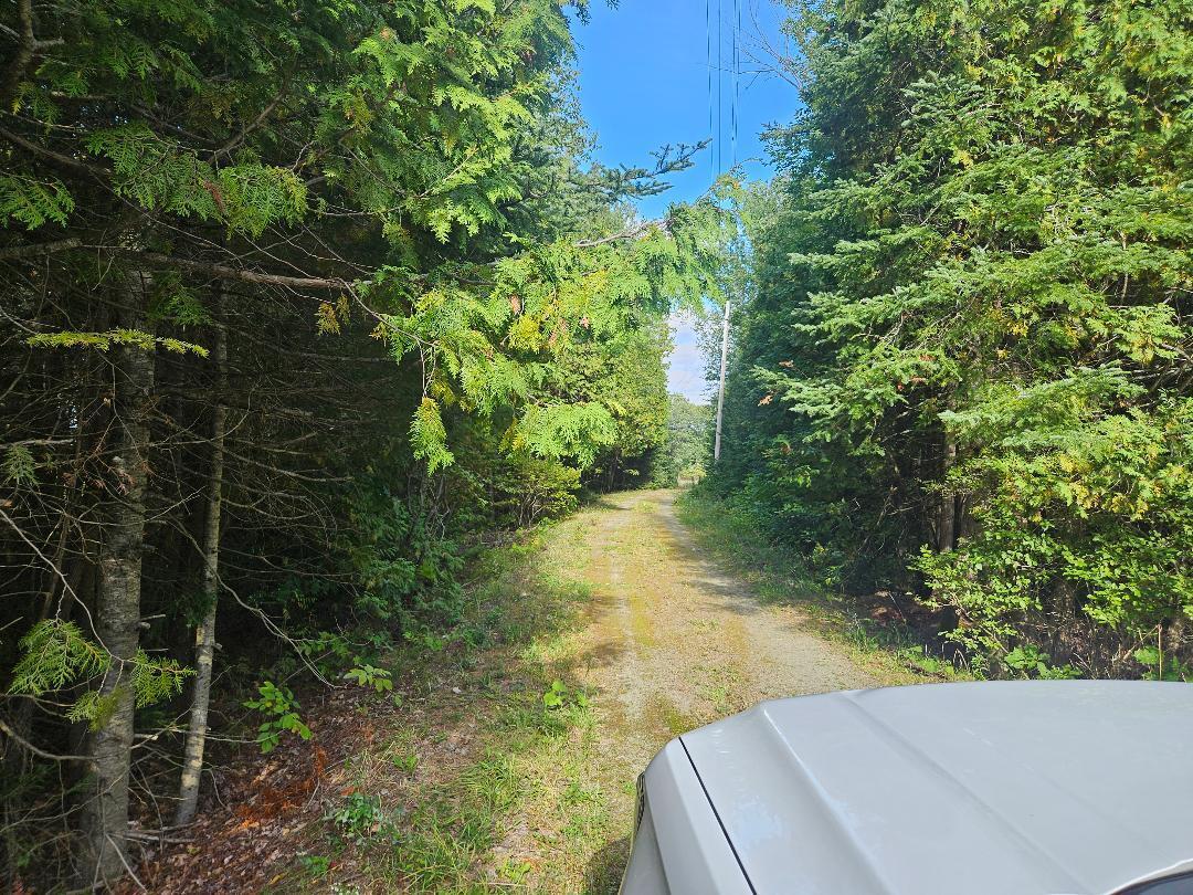 286 Hopkins Road Plymouth, ME 04969 - Photo 4 of 9 thumbnail - 2026-09-14T173414.371