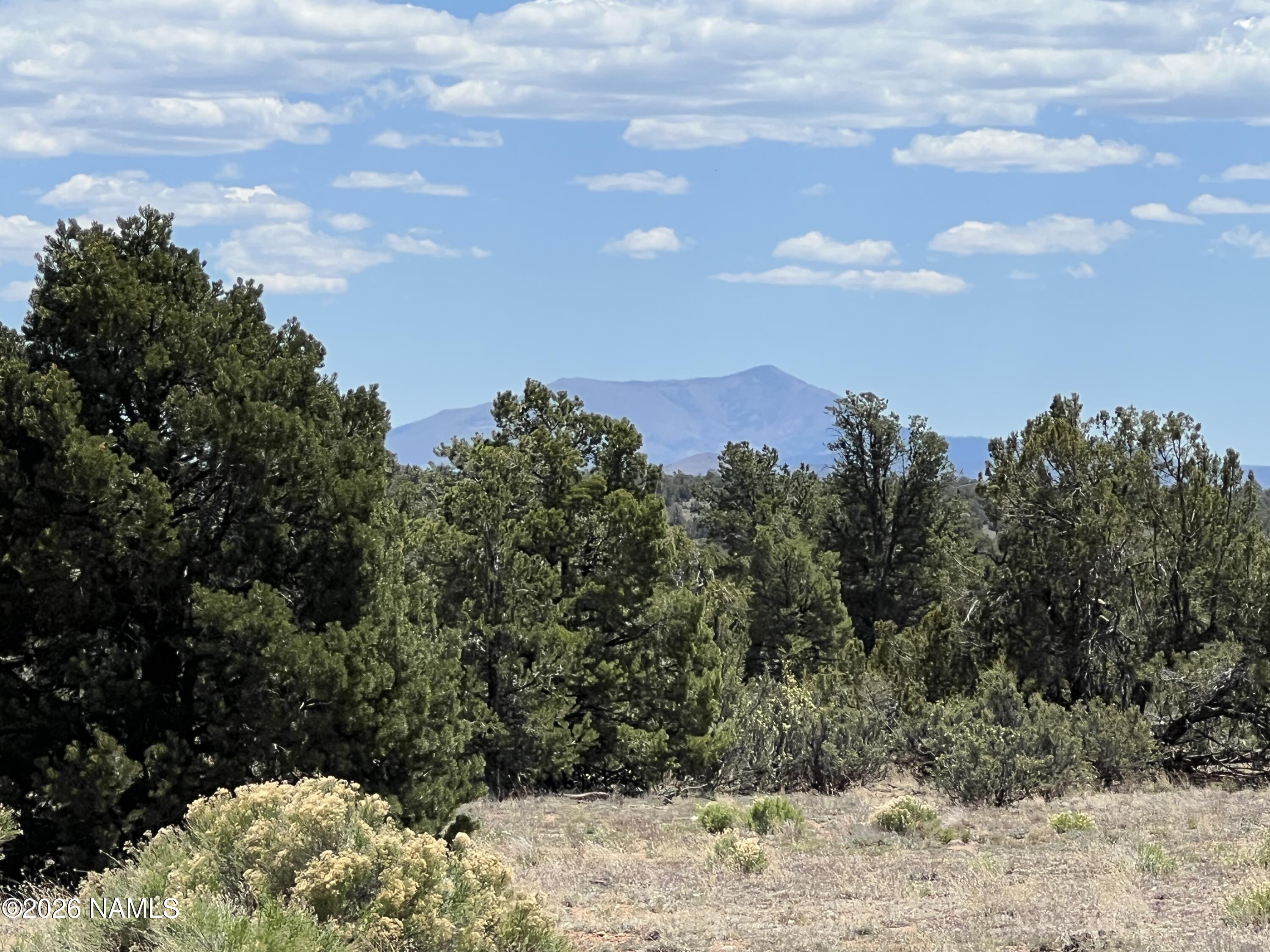8348 Red Butte Road Williams, AZ 86046 - Photo 39 of 89 IMG_1369