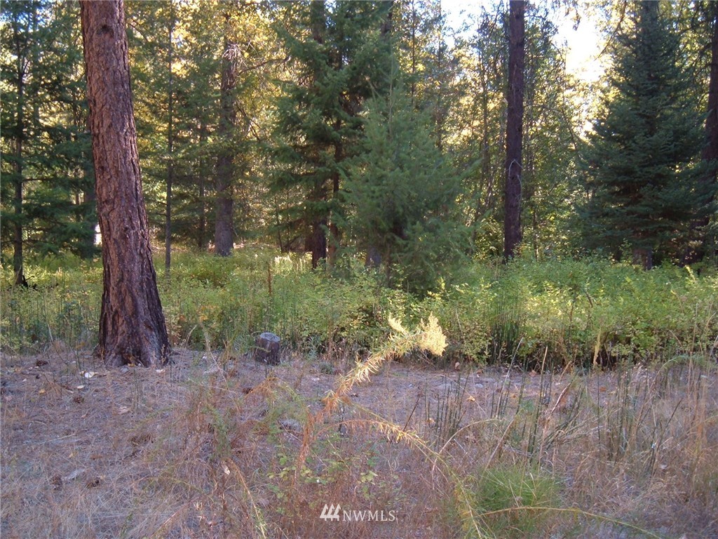 -xxx West Fork Road Conconully, WA 98819 - Photo 1 of 11 Gallery Image 1