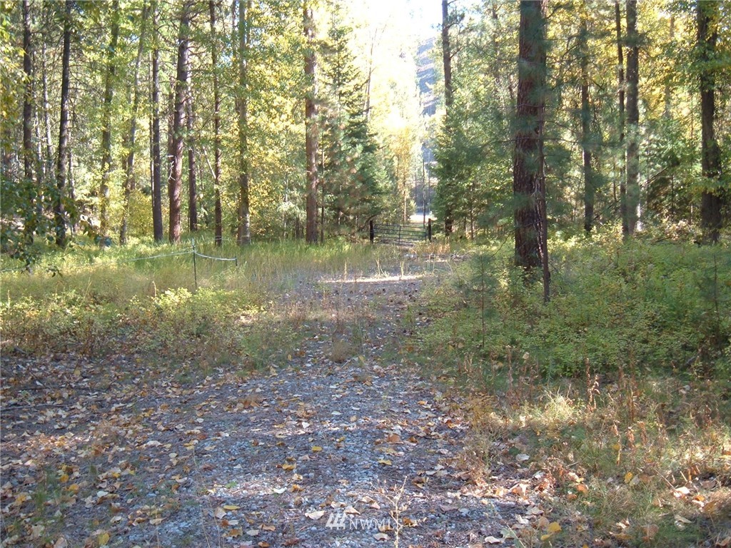 -xxx West Fork Road Conconully, WA 98819 - Photo 11 of 11 Gallery Image 11