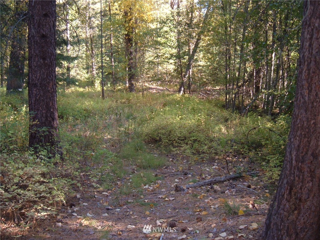 -xxx West Fork Road Conconully, WA 98819 - Photo 3 of 11 Gallery Image 3