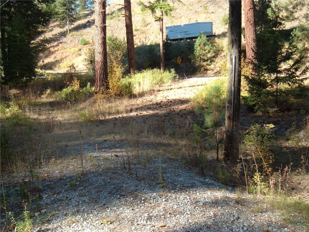 -xxx West Fork Road Conconully, WA 98819 - Photo 4 of 11 Gallery Image 4