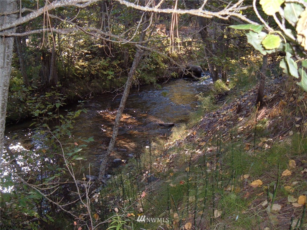 -xxx West Fork Road Conconully, WA 98819 - Photo 7 of 11 Gallery Image 7