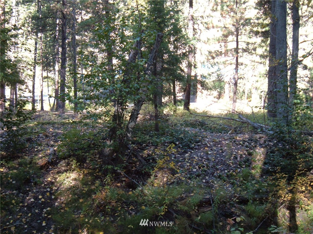 -xxx West Fork Road Conconully, WA 98819 - Photo 8 of 11 Gallery Image 8