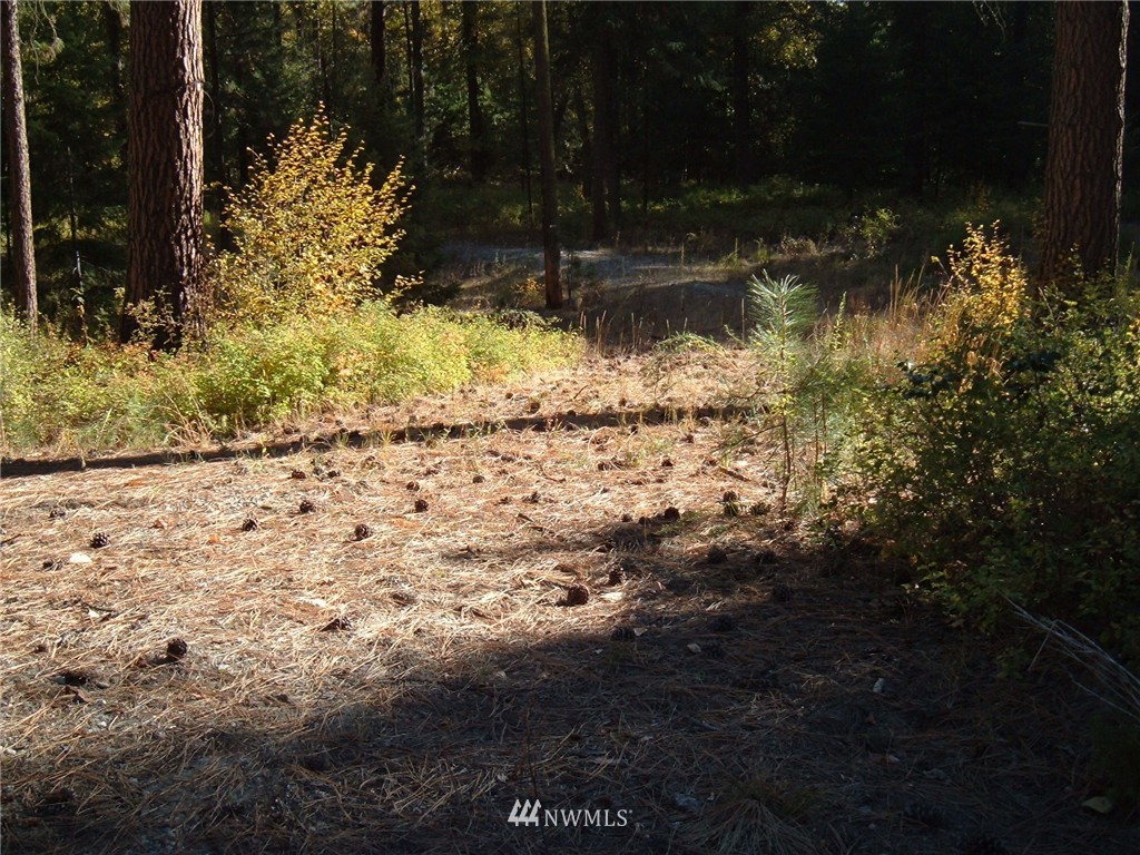 -xxx West Fork Road Conconully, WA 98819 - Photo 9 of 11 Gallery Image 9