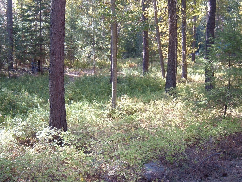 -xxx West Fork Road Conconully, WA 98819 - Photo 10 of 11 Gallery Image 10