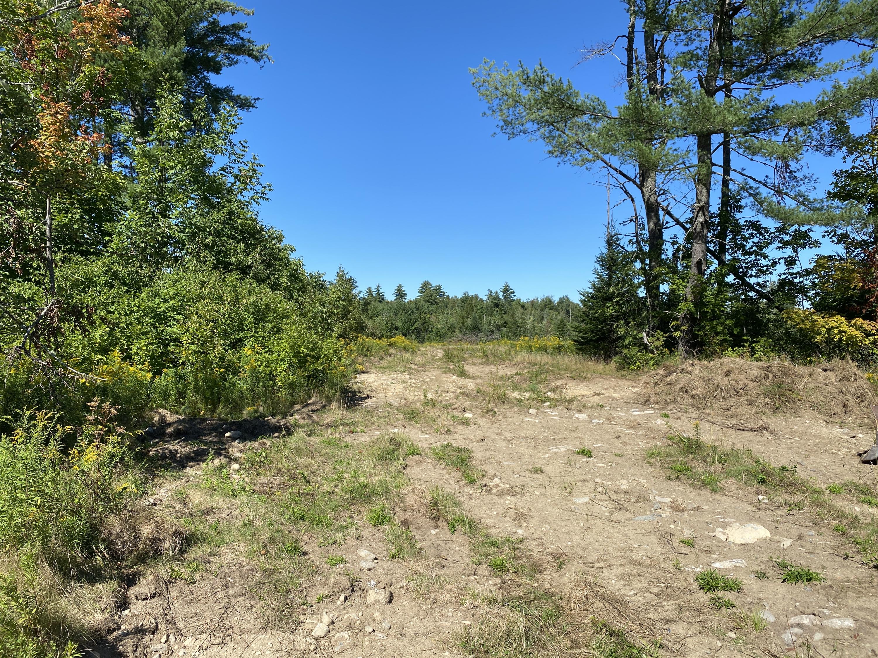Lot 18 Cookson Road Greenbush, ME 04418 - Photo 3 of 8 IMG_1399