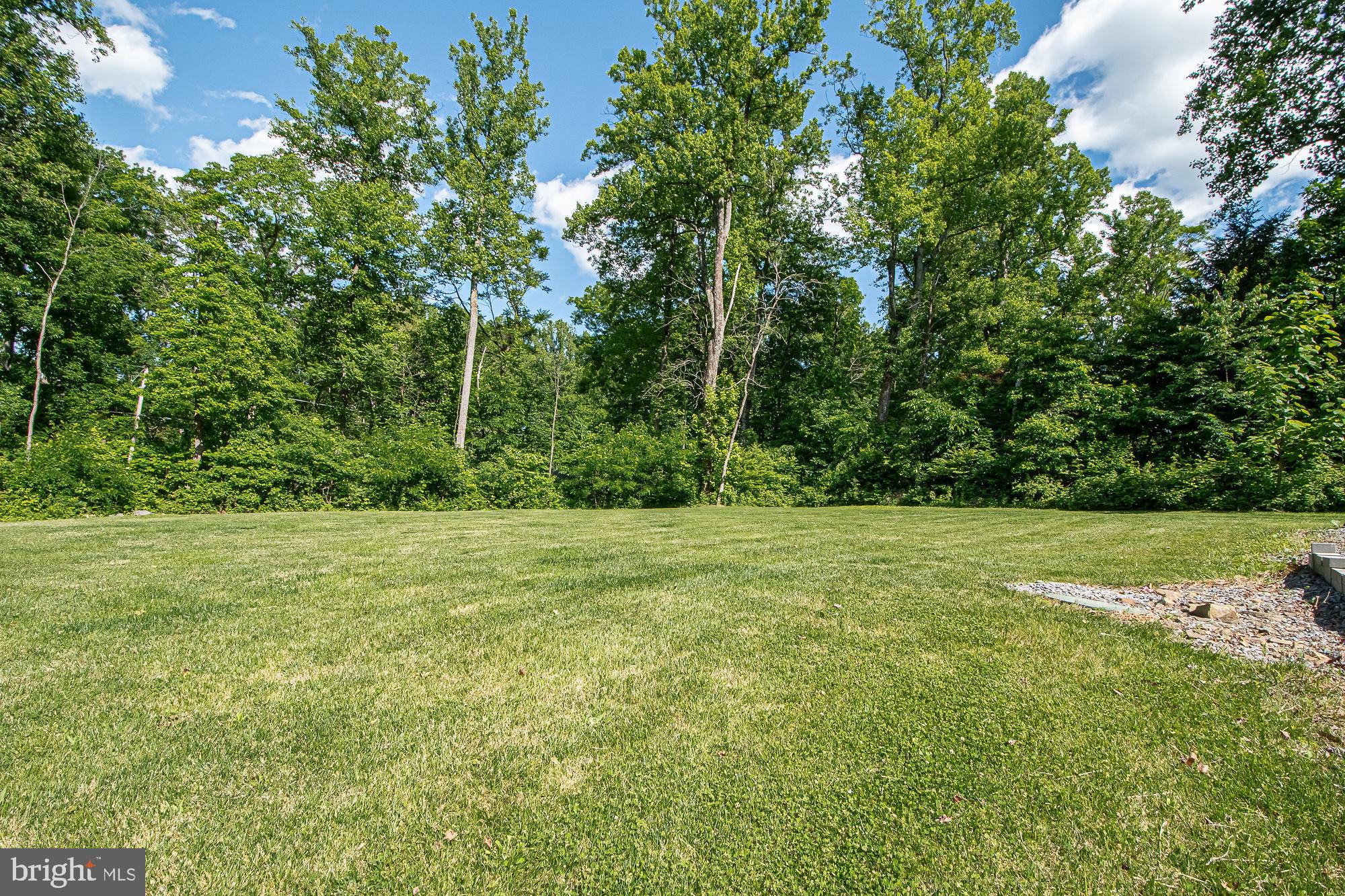 227 Mountain Heights Road Front Royal, VA 22630 - Photo 38 of 44 Large yard