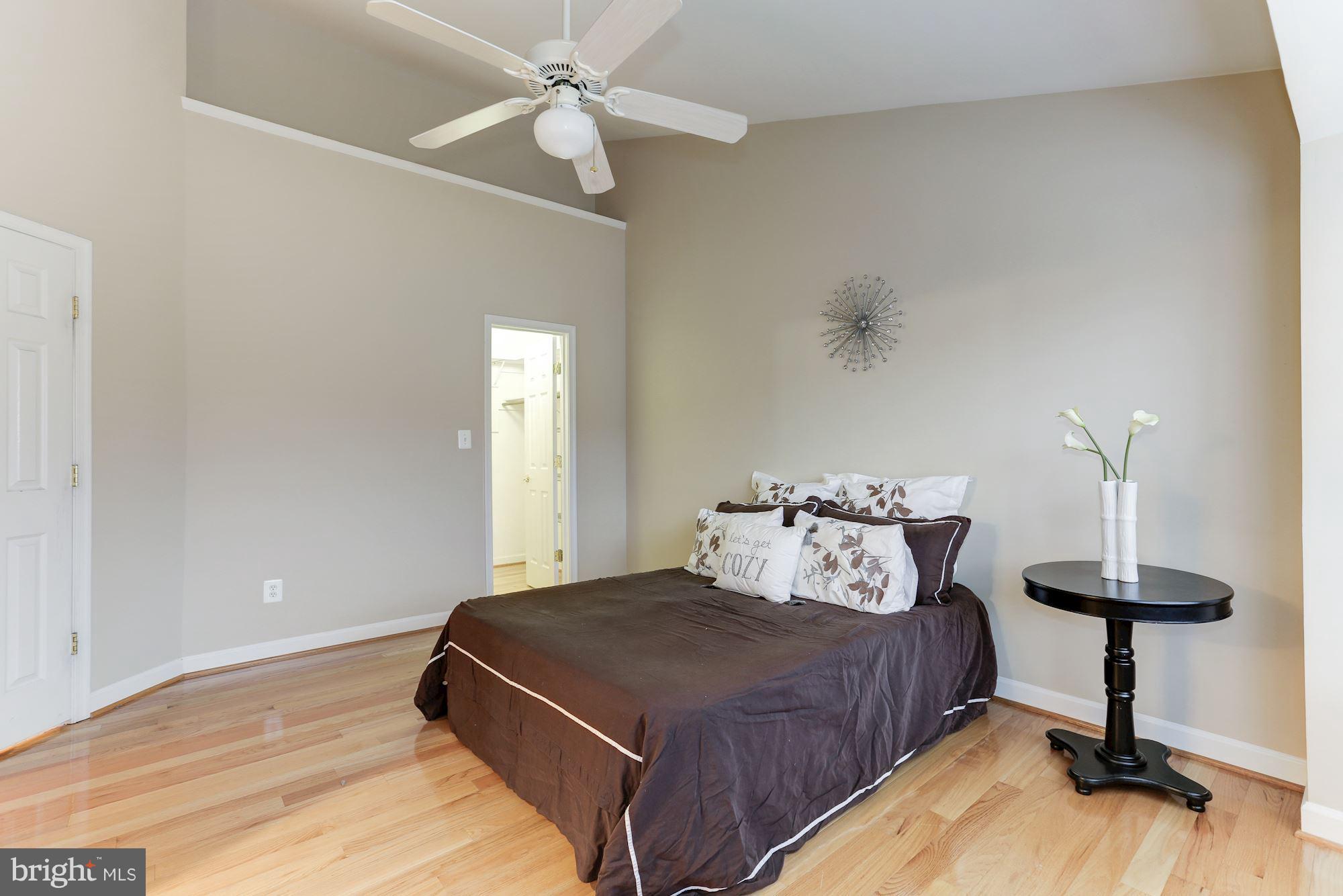 47692 Woolcott Square Sterling, VA 20165 - Photo 17 of 30 Vaulted ceilings and walking closet
