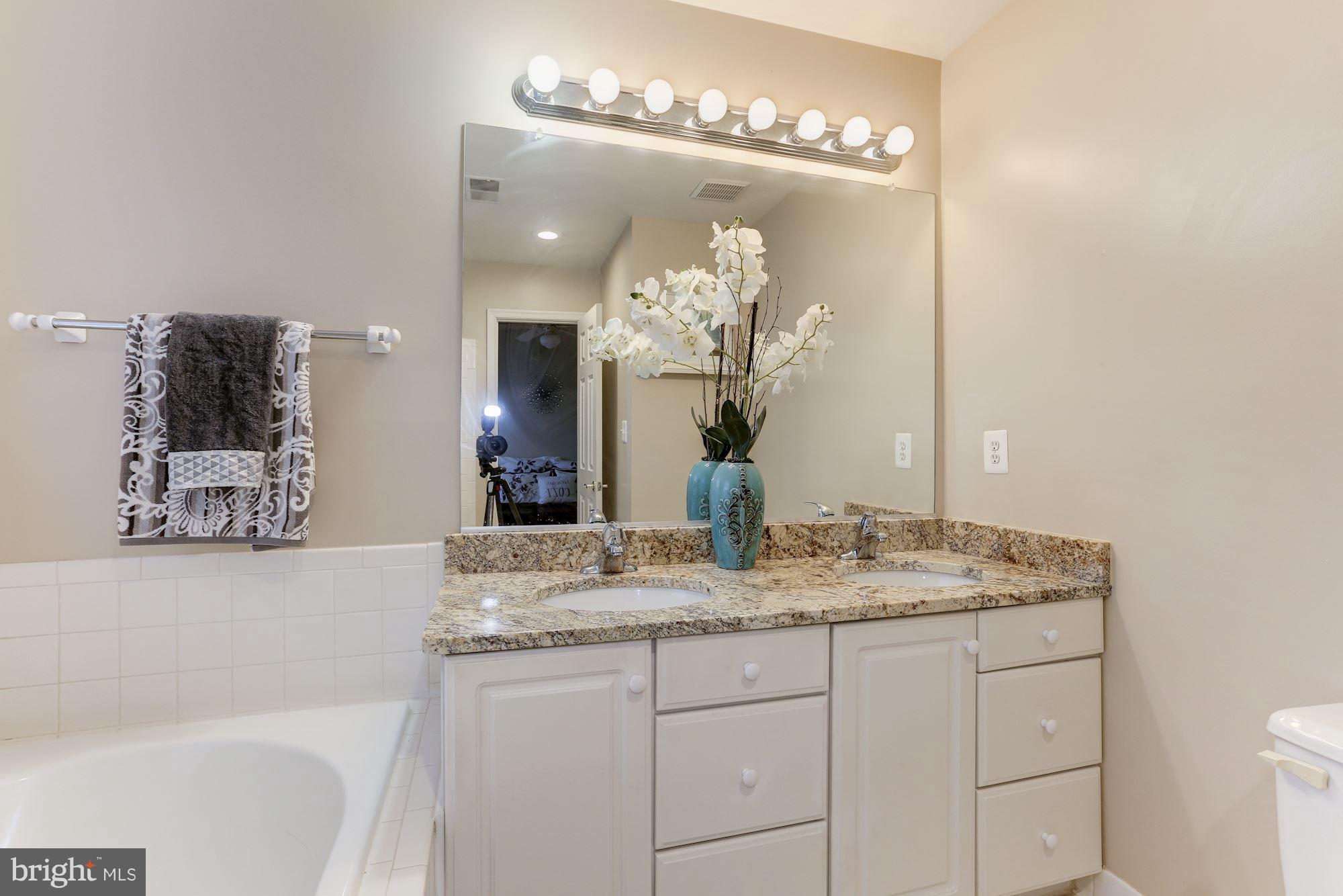 47692 Woolcott Square Sterling, VA 20165 - Photo 19 of 30 Bath (Master)