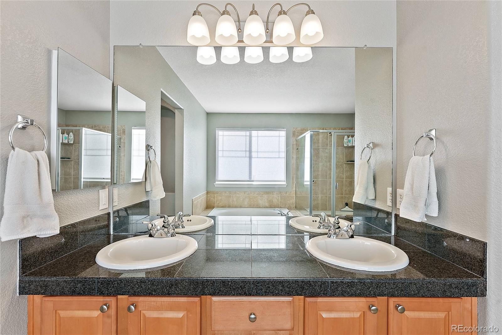 10830 Hickory Ridge Street Highlands Ranch, CO 80126 - Photo 11 of 23