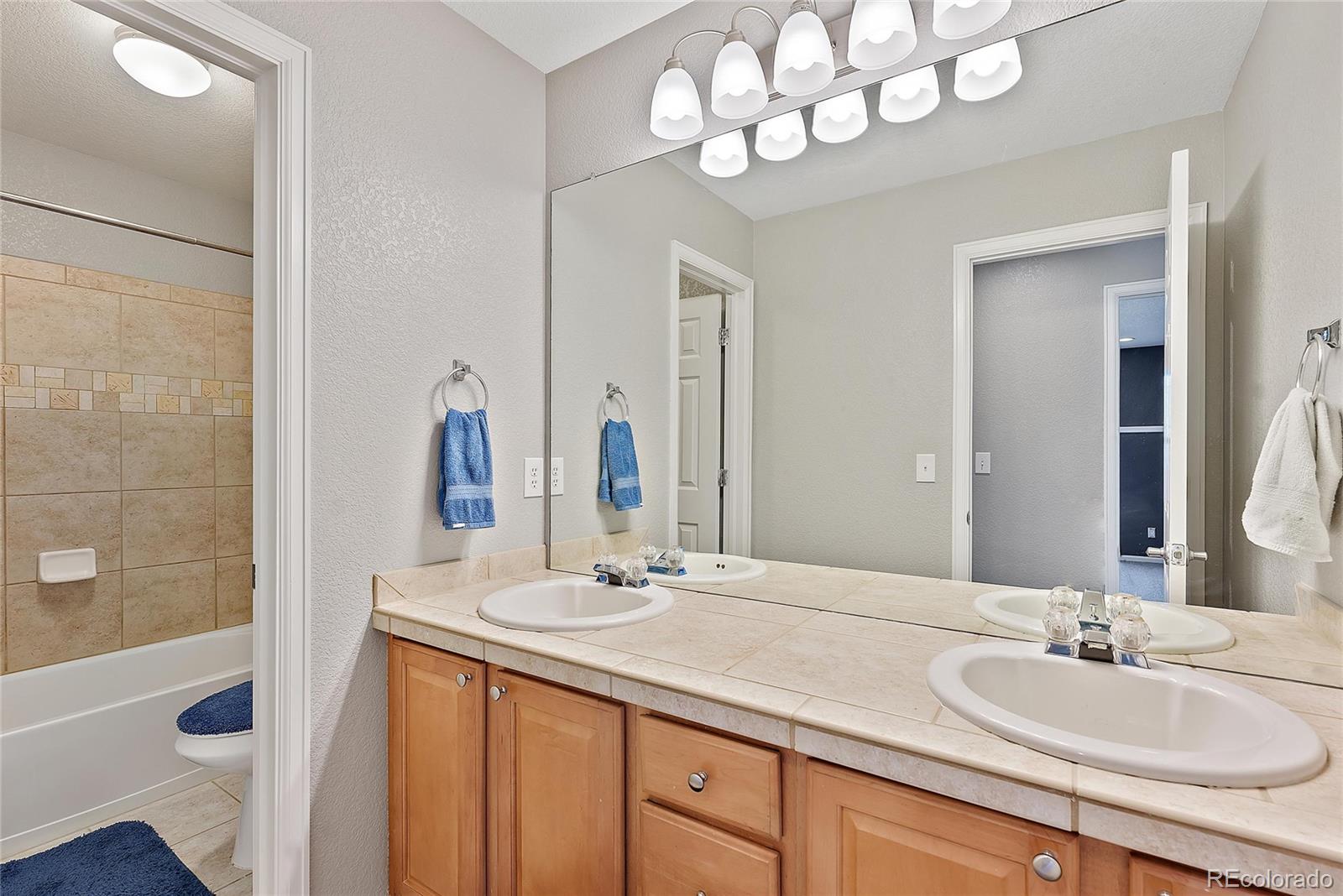 10830 Hickory Ridge Street Highlands Ranch, CO 80126 - Photo 15 of 23