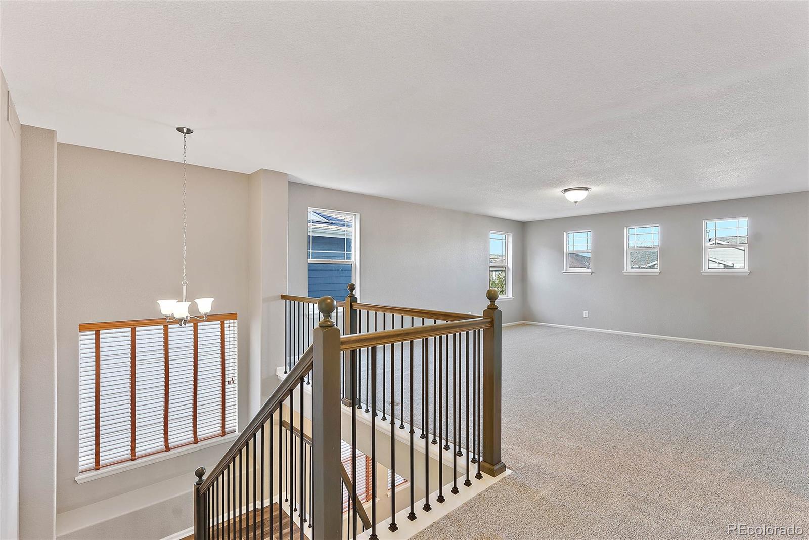 10830 Hickory Ridge Street Highlands Ranch, CO 80126 - Photo 16 of 23