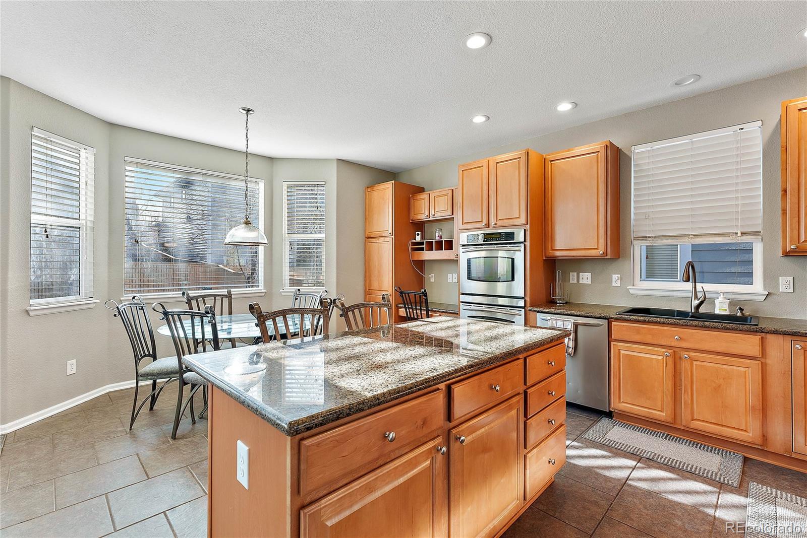 10830 Hickory Ridge Street Highlands Ranch, CO 80126 - Photo 3 of 23