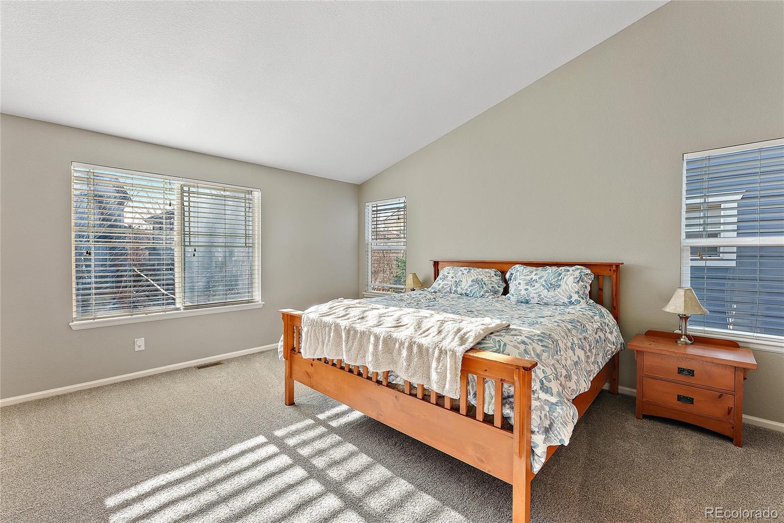 10830 Hickory Ridge Street Highlands Ranch, CO 80126 - Photo 9 of 23