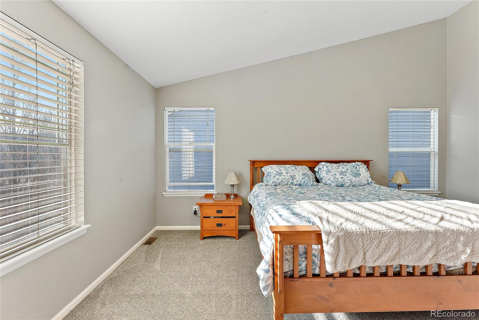 10830 Hickory Ridge Street Highlands Ranch, CO 80126 - Photo 10 of 23