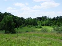 80 Spring Valley Drive Greenbush, WI 53023 - Photo 1 of 1 80 Acres