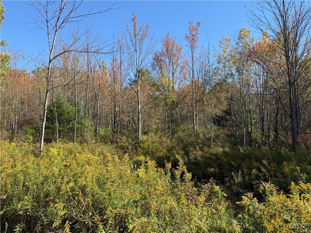 Shoemaker Road Van Etten, NY 14889 - Photo 7 of 13
