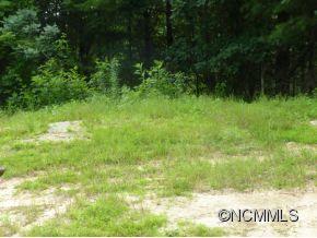 Tbd Rebel Ridge Road Marshall, NC 28753 - Photo 2 of 5