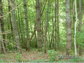 Tbd Rebel Ridge Road Marshall, NC 28753 - Photo 3 of 5