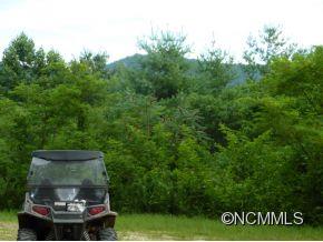 Tbd Rebel Ridge Road Marshall, NC 28753 - Photo 4 of 5