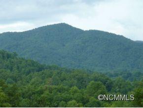 Tbd Rebel Ridge Road Marshall, NC 28753 - Photo 5 of 5