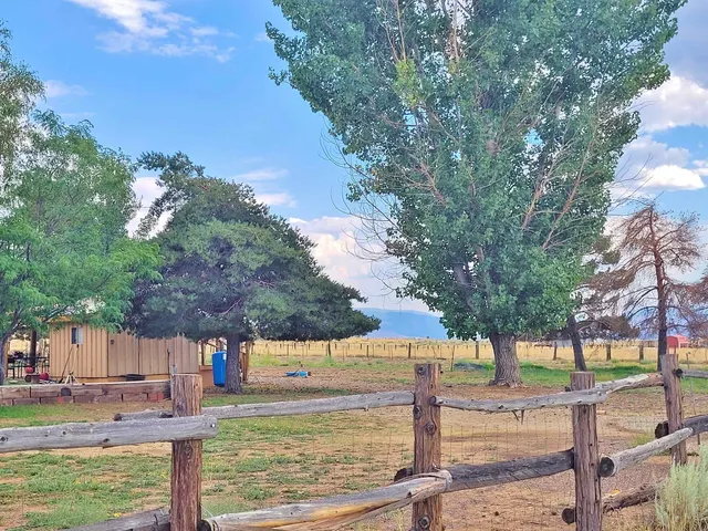 a view of a yard with trees