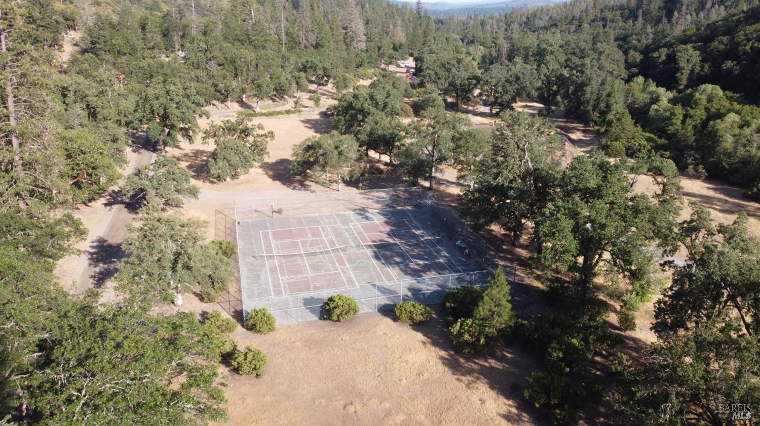 30518 Rodeo Road Potter Valley, CA 95469 - Photo 32 of 35 a view of a yard with plants