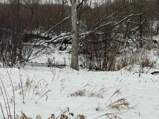 $14,000 | Apache Pass, Reed City, MI 49677