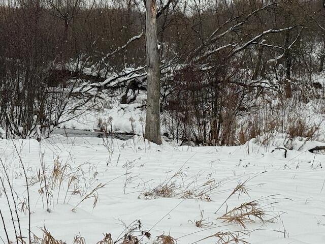 Apache Pass Reed City, MI 49677 - Photo 1 of 7 lot